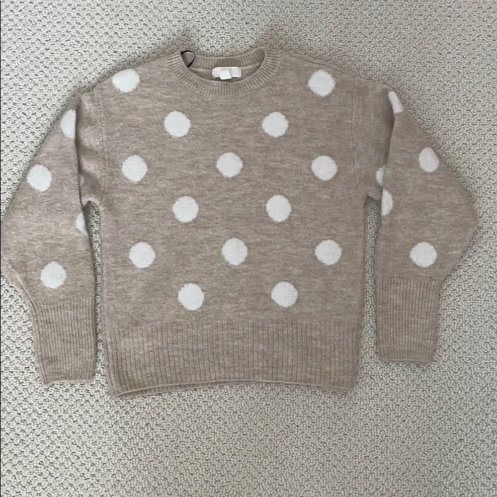 H&M Polka Dot sweater